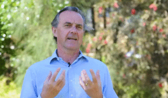 The Ripple Effect of Values-Based Leadership