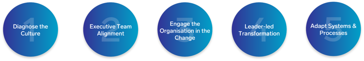 Culture Change Graphics2